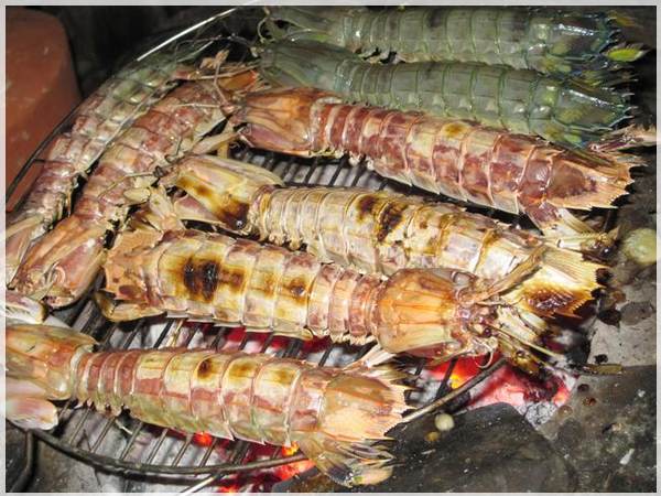 Ra biển thấy tôm tít báo hiệu điềm lành hay điềm dữ?