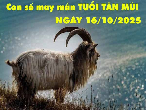 Con số may mắn tuổi Tân Mùi ngày 16/10/2025 thứ 5 hôm nay